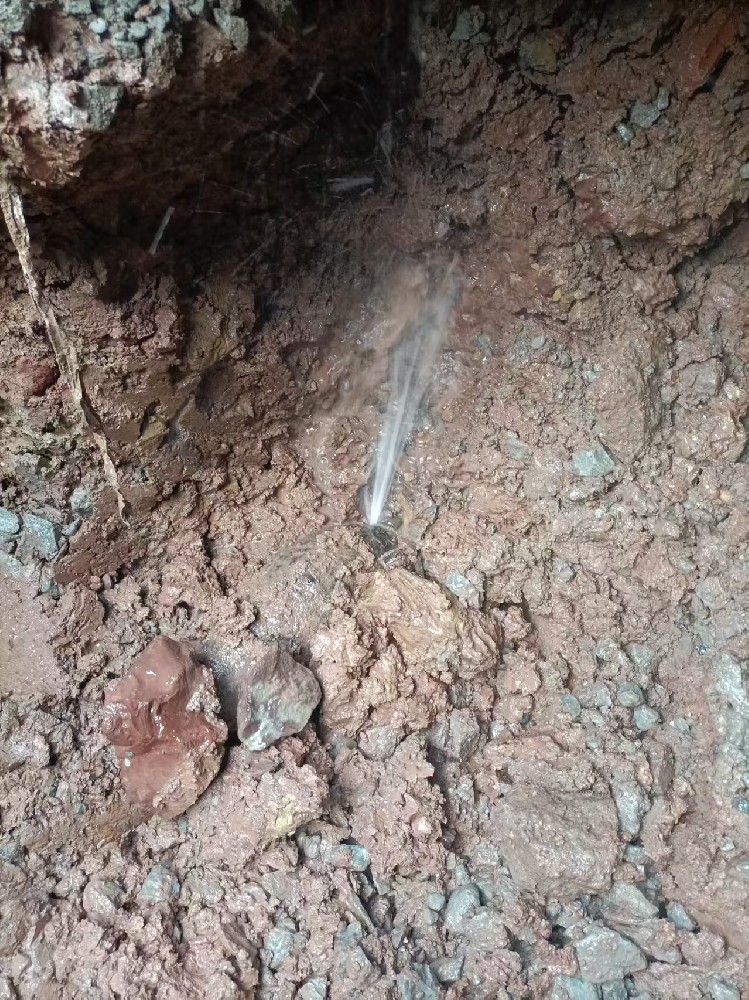 浠水县本地服务：自来水管漏水检测维修